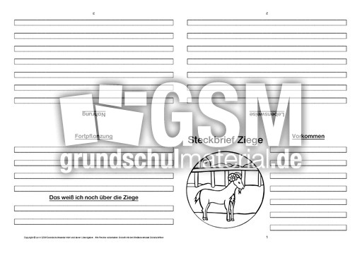 Ziege-Faltbuch-vierseitig-1.pdf